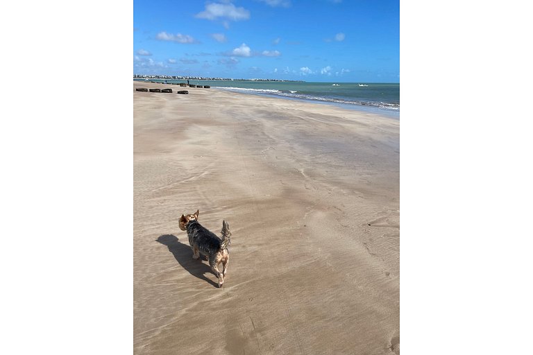 205A · Apto Branco Haus - Pé na Areia