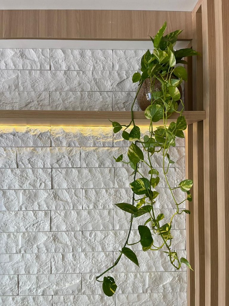 Flat 22 - Luxo Garden Haus - by Jess